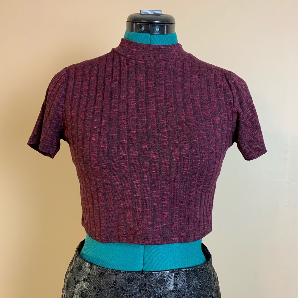 Deep Red-Violet Ribbed Crop Top - like new!
